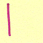 one tally mark
