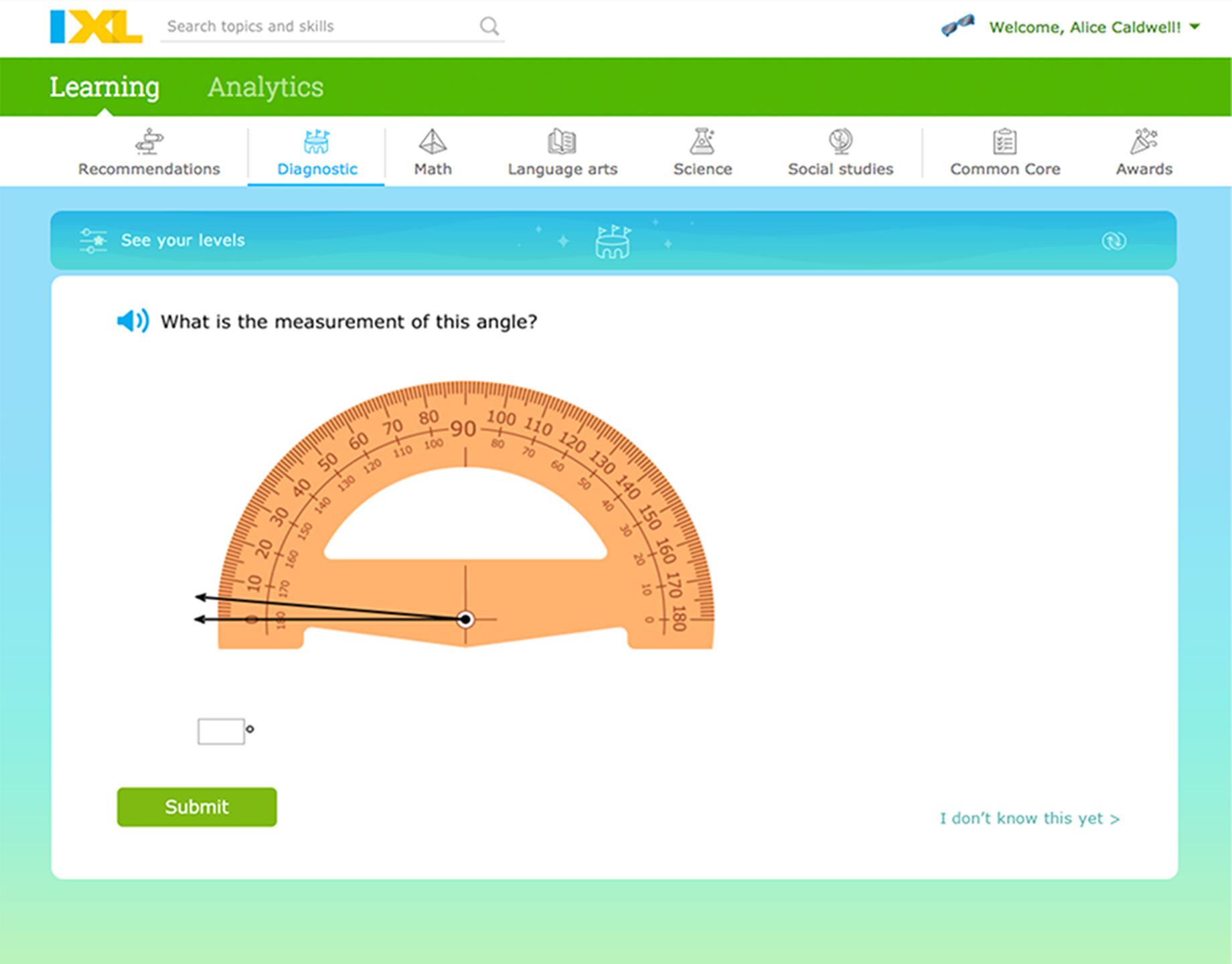 The IXL Real-Time Diagnostic
