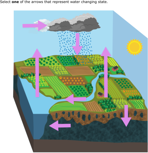 IXL | Select parts of water cycle diagrams | 6th grade science
