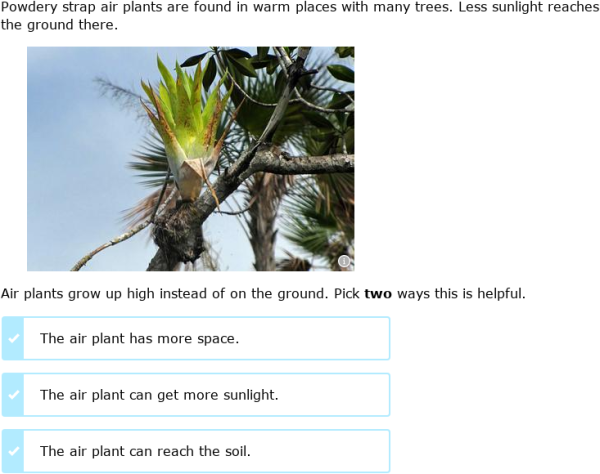 IXL | Where do bearberries and powdery strap air plants live? | 2nd