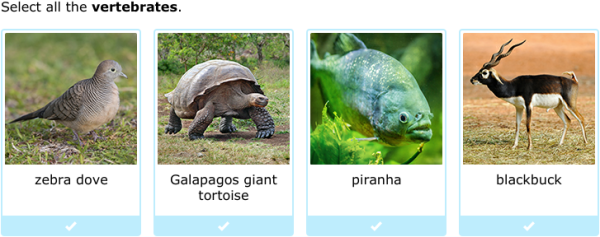 IXL | Identify vertebrates and invertebrates | 5th grade science