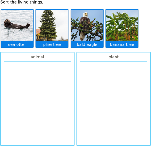 IXL Identify plants and animals Kindergarten science