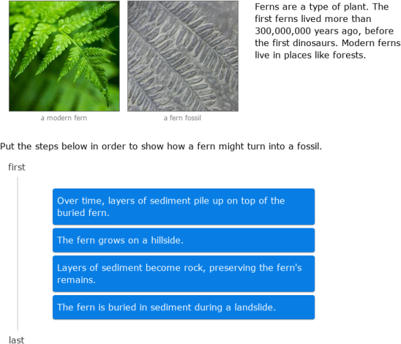 IXL | Introduction to fossils | 3rd grade science