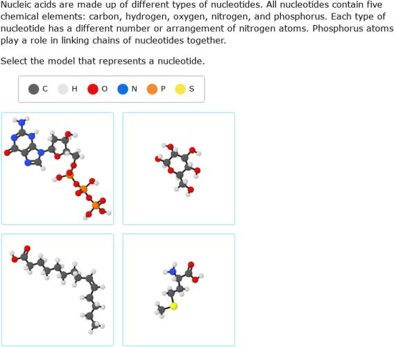 IXL Structure and function carbohydrates, lipids, proteins, and nucleic acids 6th grade science