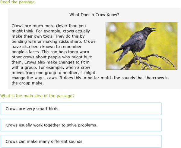 Main Idea Of A Passage For 3Rd Grade Jpdesignerts