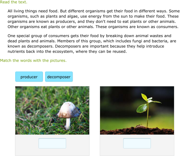 IXL Determine the meaning of domainspecific words with pictures