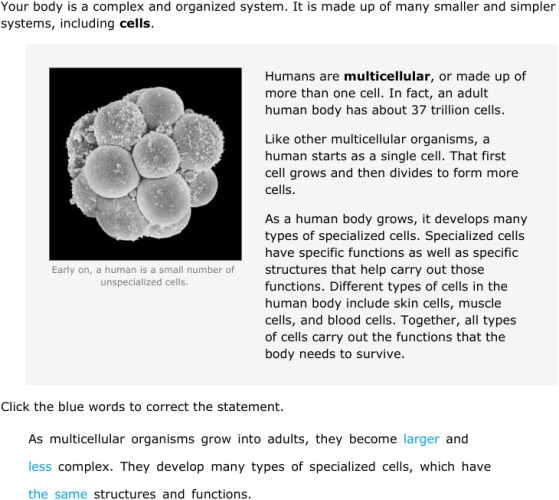 IXL | Organization in the human body: the heart and the circulatory