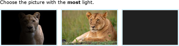 IXL | More light or less light | Kindergarten science