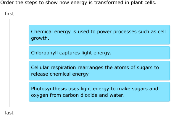 IXL | How do plants use and change energy? | 6th grade science