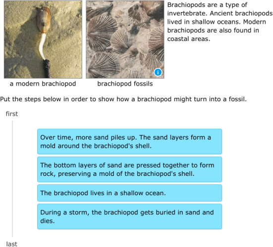 IXL Introduction To Fossils 5th Grade Science