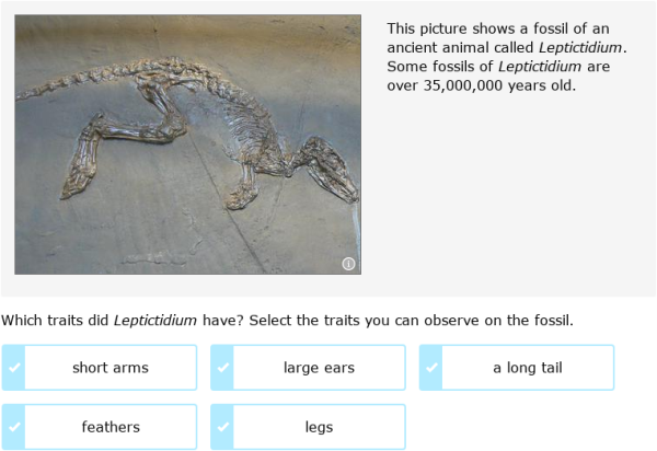 IXL | Compare fossils to modern organisms | 7th grade science