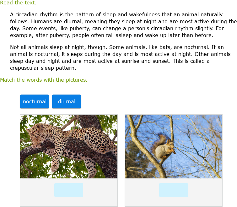 Fastest Diurnal Meaning